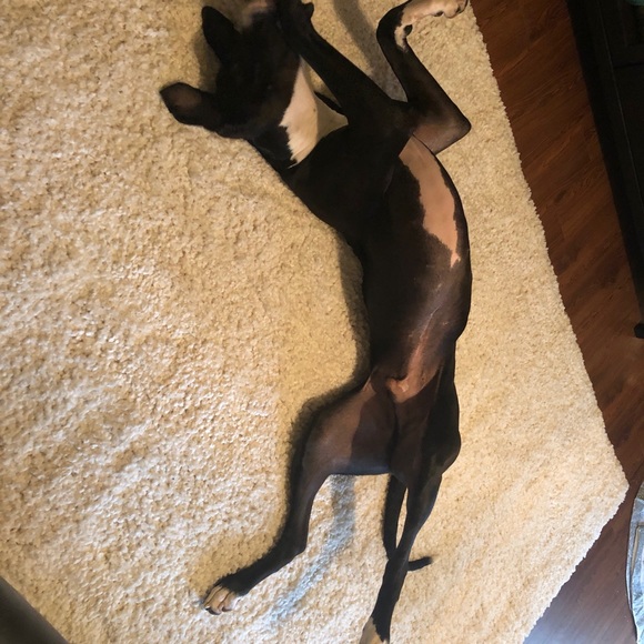 Meet your Posher, Kourtni - Picture 2 of 4